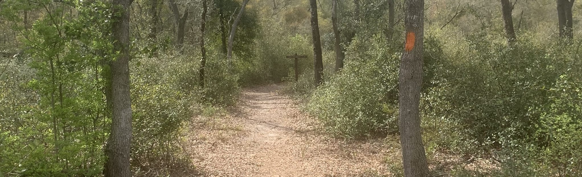 Florida Trail Rodman Dam to Lake Kerr Map, Guide Florida AllTrails