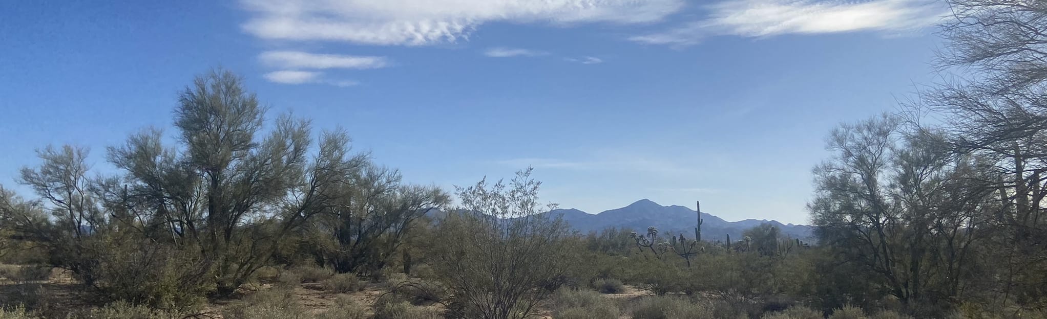 Maeveen Behan to Crooked Tree Loop, Arizona 339 Reviews, Map AllTrails