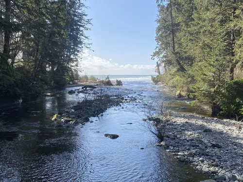 10 Best Trails and Hikes in Port Renfrew | AllTrails