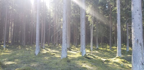 Naherholungsgebiet Obere Wagensass 2