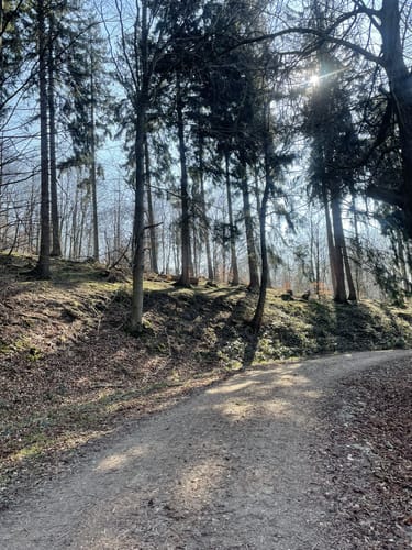 L2 Rundwanderweg Lauenau Nr. 2