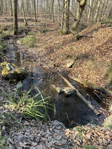 L2 Rundwanderweg Lauenau Nr. 2
