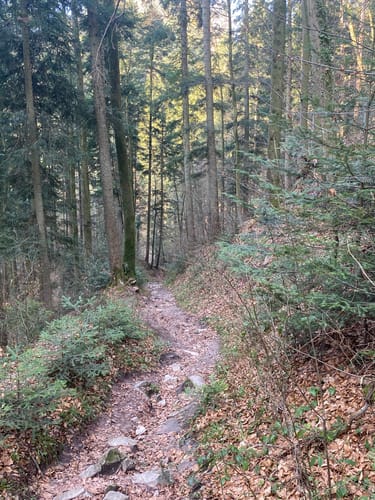 Dreischluchten (Premiumwanderweg)