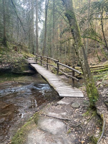 Dreischluchten (Premiumwanderweg)