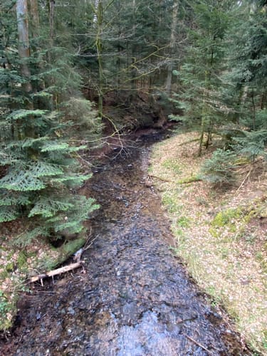Dreischluchten (Premiumwanderweg)