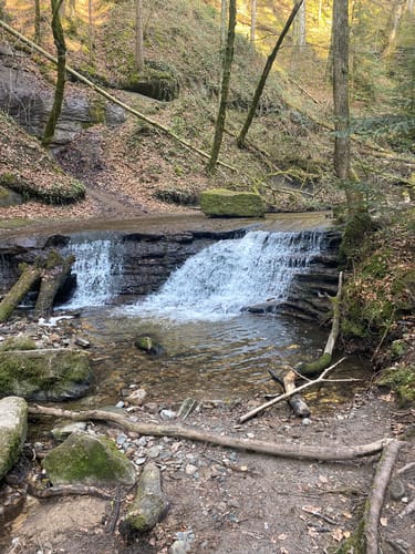 Dreischluchten (Premiumwanderweg)