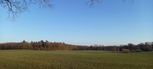 Wohldorferwald Rundweg