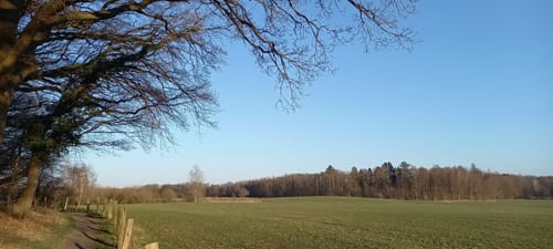 Wohldorferwald Rundweg