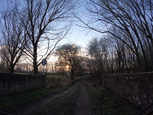 Auf dem Richard-Massinger-Weg zum Rimmelsbacher Hof