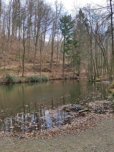 Rundwanderweg Seeheim-Jugenheim Friedensquelle 6: Galgen-Weg