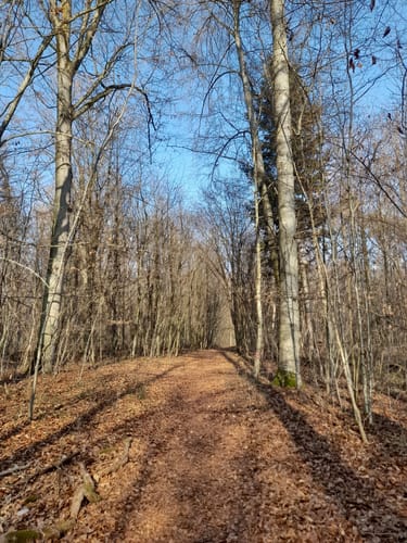 Burschelberg Runde