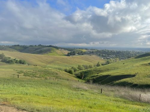 are dogs allowed at chino hills community park