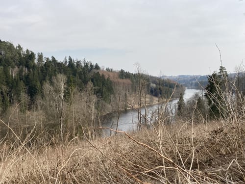 Entlang der Ilz bei Mausmühle