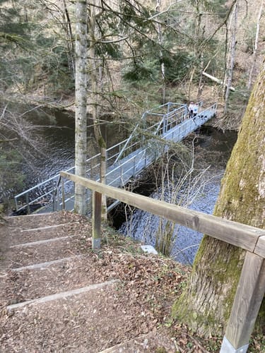Entlang der Ilz bei Mausmühle