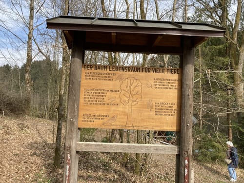 Entlang der Ilz bei Mausmühle