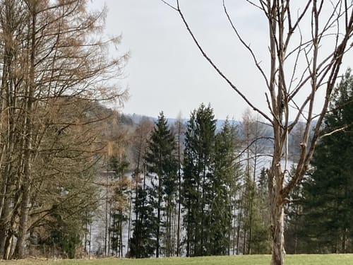 Entlang der Ilz bei Mausmühle