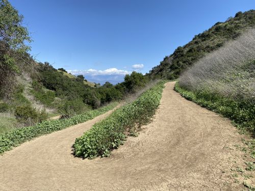 Peter F. Schabarum Regional Park : les meilleures randonnées pour voir ...