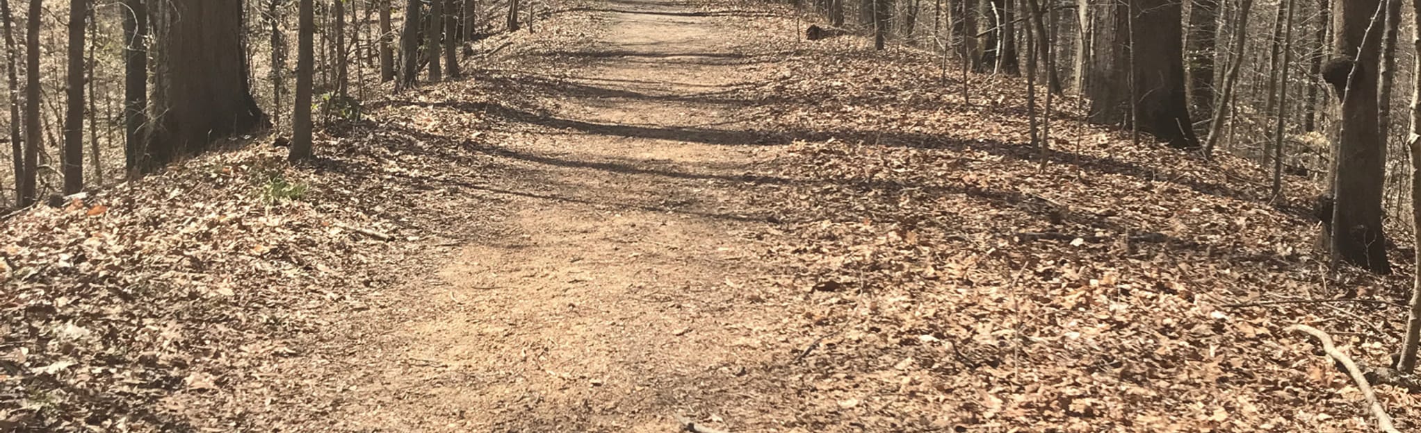 AllTrails Woodland Trail 1 Mile Loop 78 Reviews, Map Tennessee