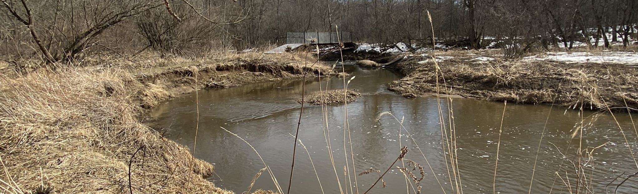 Nugget Lake County Park Loop, Wisconsin 13 Reviews, Map AllTrails
