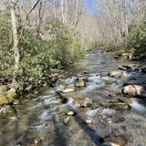 Bradley Fork Trail, North Carolina - 231 Reviews, Map | AllTrails