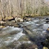 Bradley Fork Trail, North Carolina - 231 Reviews, Map | AllTrails