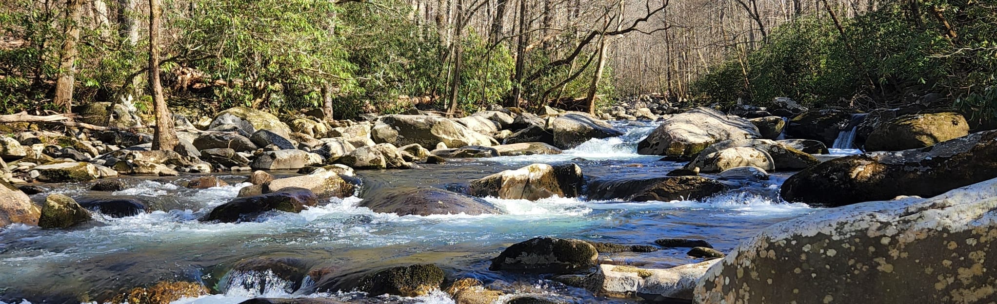 Riverview Quiet Walkway 246 Reviews, Map Tennessee AllTrails
