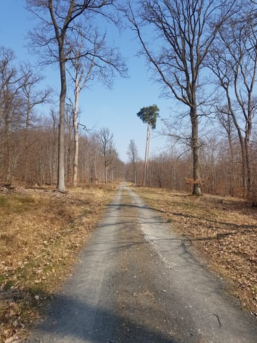 Kraterrundweg