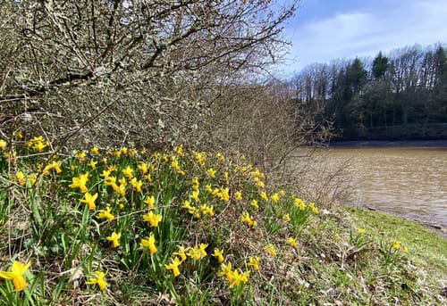 Ohmbachsee Rundwanderweg
