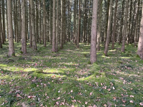 Wind, Wasser & Wacken (Premiumwanderweg)