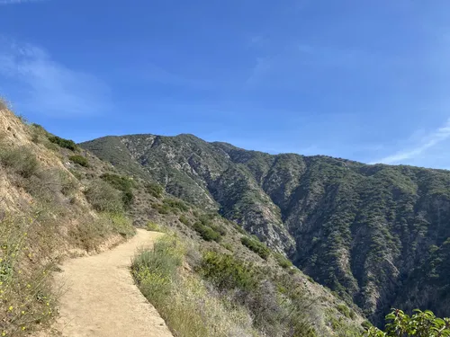 10 Best Trails and Hikes in Sierra Madre | AllTrails
