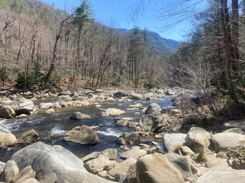 Best Fishing Trails in Linville Gorge Wilderness