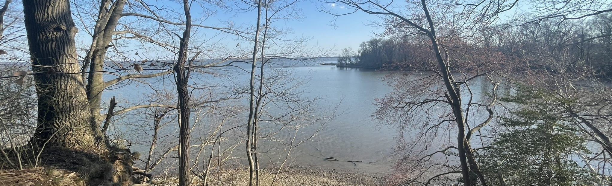 Swan Harbor Farm Loop Trail 174 foto Maryland AllTrails