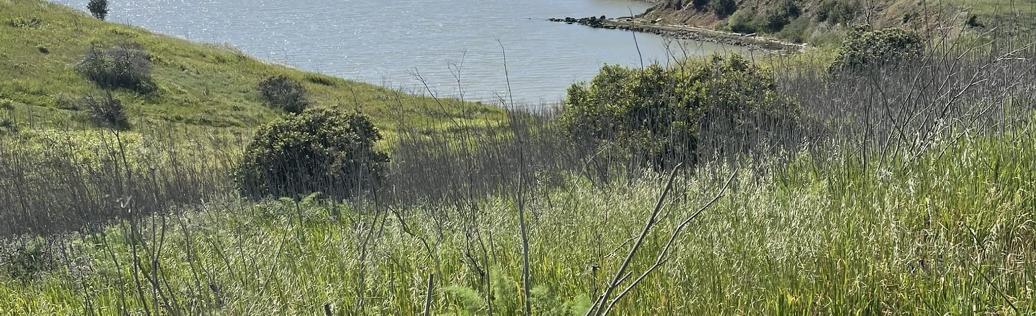 Bay Area Ridge Trail VallejoBenicia Waterfront West Map, Guide