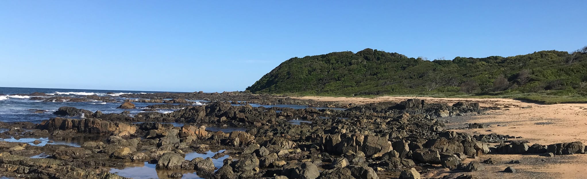 AllTrails Shelley Beach via Black Head Flora Reserve 4 Reviews, Map