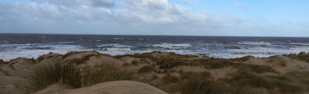 can you take dogs on formby beach