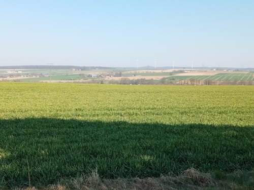 Hofgeismar - Hombressen - Grebenstein