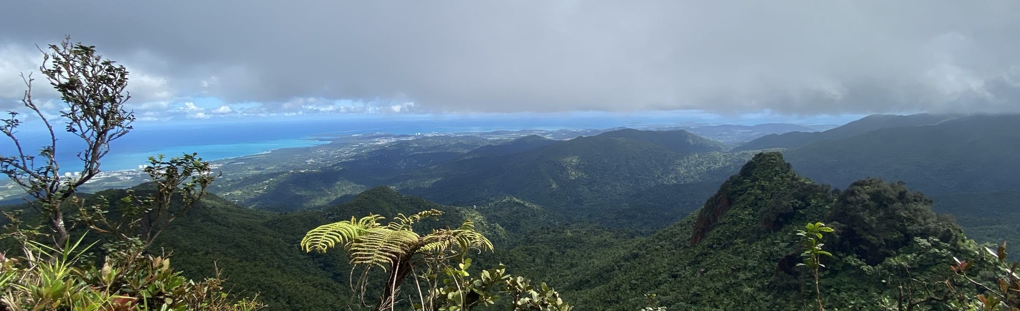 El Yunque Forest Big Loop East - EyJidWNrZXQiOiJhc3NldHMuYWxsdHJhaWxzLmNvbSIsImtleSI6InVwbG9hZHMvcGhvdG8vaW1hZ2UvNDU1MzM2NjYvYjE0OGY4YzRhYTM5MzNhMzZjYzM4YTYwYmY0OWRiNzcuanBnIiwiZWRpdHMiOnsidG9Gb3JtYXQiOiJqcGVnIiwicmVzaXplIjp7IndpZHRoIjoyMDQ0LCJoZWlnaHQiOjYyNCwiZml0IjoiY292ZXIifSwicm90YXRlIjpudWxsLCJqcGVnIjp7InRyZWxsaXNRdWFudGlzYXRpb24iOnRydWUsIm92ZXJzaG9vdERlcmluZ2luZyI6dHJ1ZSwib3B0aW1pc2VTY2FucyI6dHJ1ZSwicXVhbnRpc2F0aW9uVGFibGUiOjN9fX0=