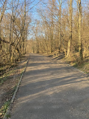 Volkspark Prenzlauer Berg Großer Weg