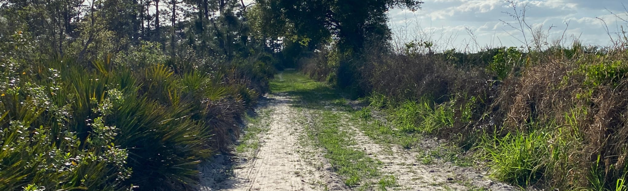 Shell Creek Preserve Loop 8 Reviews, Map Florida AllTrails