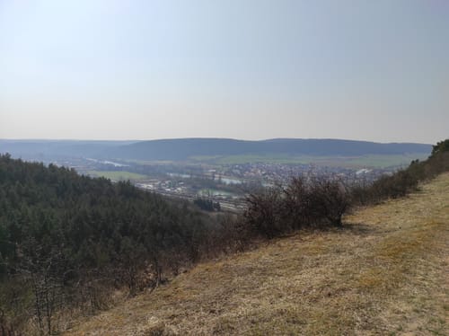 Rund um den Saupurzel