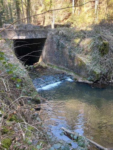 Dreischluchten (Premiumwanderweg)
