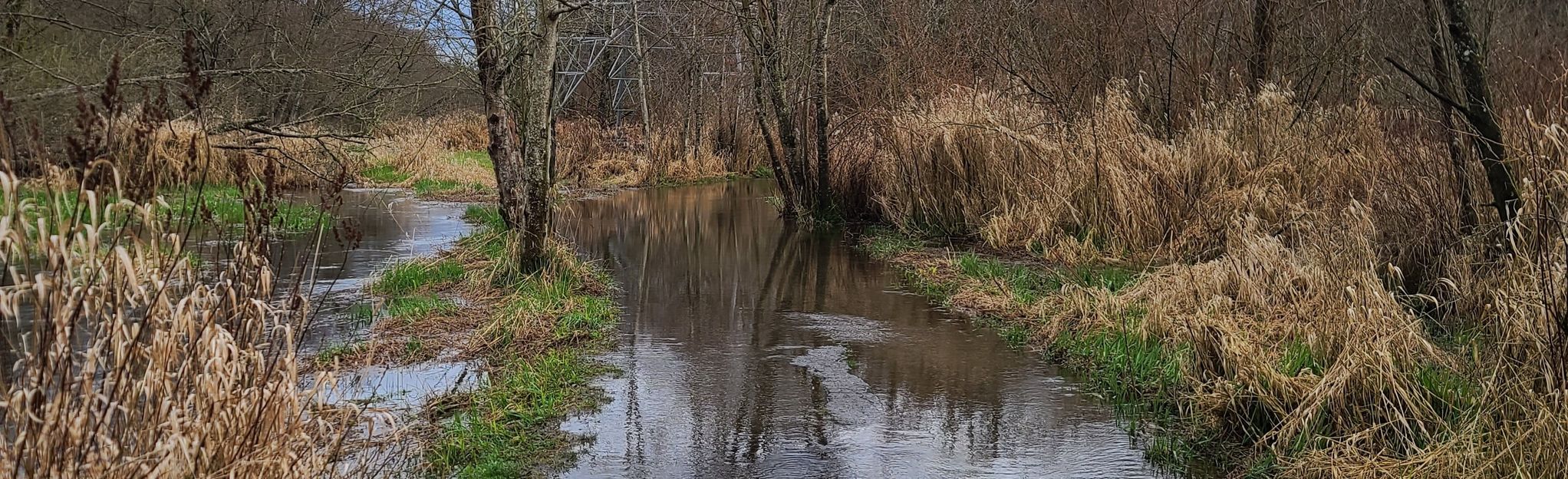 Watershed Park To River Road British Columbia Canada 150 Reviews   EyJidWNrZXQiOiJhc3NldHMuYWxsdHJhaWxzLmNvbSIsImtleSI6InVwbG9hZHMvcGhvdG8vaW1hZ2UvNDU1NzAwOTEvYTM2NjJhYWZiYjBmNTVmZmNiMTk2ZGUyMDVlZTE3NjEuanBnIiwiZWRpdHMiOnsidG9Gb3JtYXQiOiJqcGVnIiwicmVzaXplIjp7IndpZHRoIjoyMDQ0LCJoZWlnaHQiOjYyNCwiZml0IjoiY292ZXIifSwicm90YXRlIjpudWxsLCJqcGVnIjp7InRyZWxsaXNRdWFudGlzYXRpb24iOnRydWUsIm92ZXJzaG9vdERlcmluZ2luZyI6dHJ1ZSwib3B0aW1pc2VTY2FucyI6dHJ1ZSwicXVhbnRpc2F0aW9uVGFibGUiOjN9fX0=