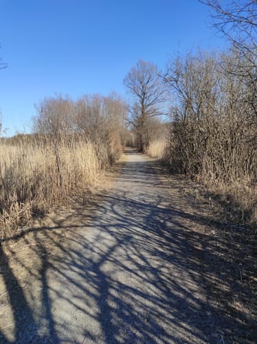 Simsseewanderweg