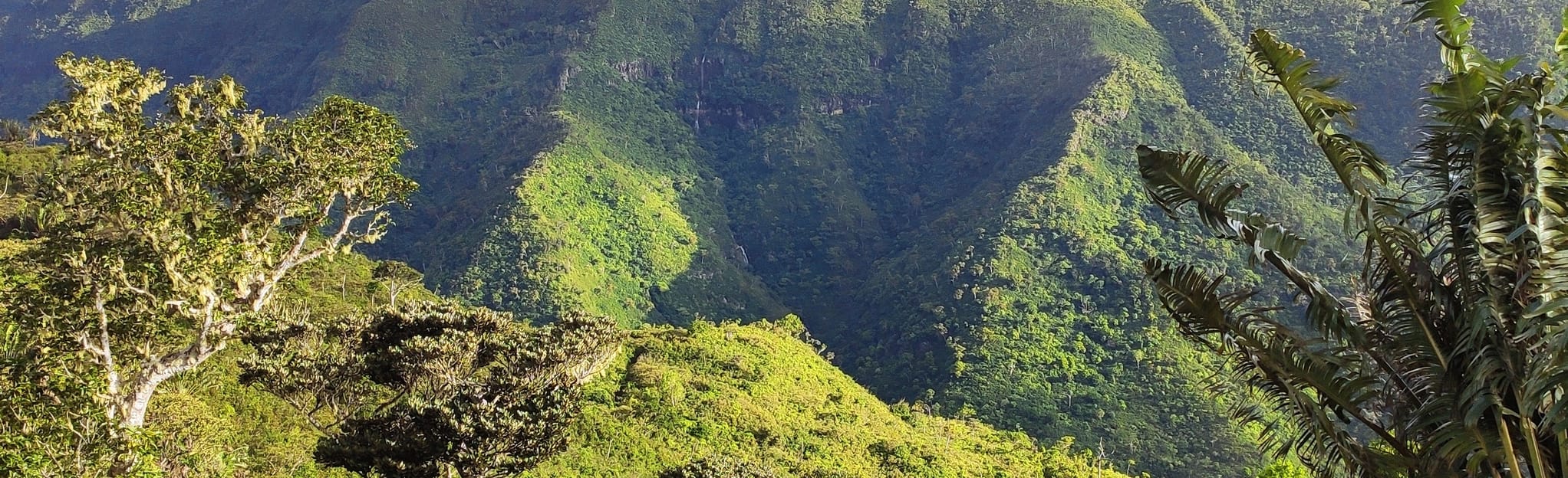 Macchabée View Point, Rivière Noire, Mauritius 22 Reviews, Map