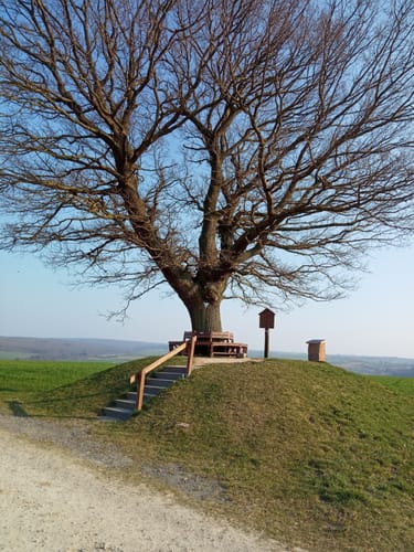 Hofgeismar - Hombressen - Grebenstein