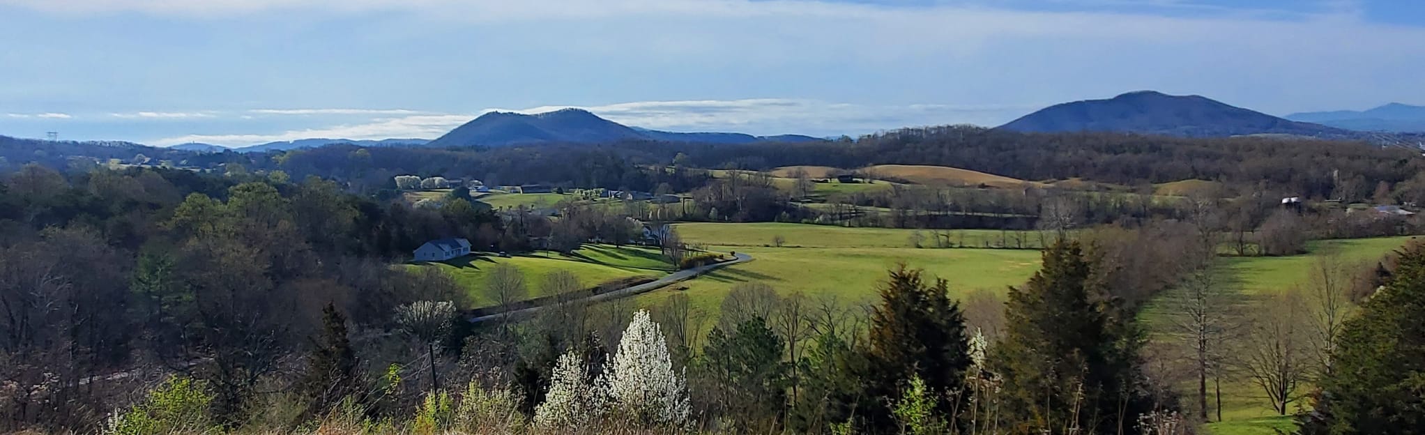 Appalachian Trail Troutville to Black Horse Gap, Virginia 48 Reviews