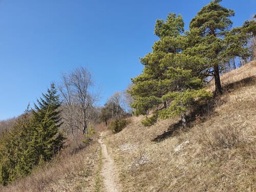 Sauschwänzle-Weg (Genießerpfad)