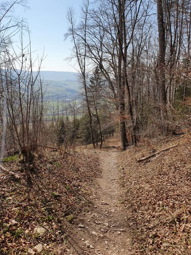 Sauschwänzle-Weg (Genießerpfad)