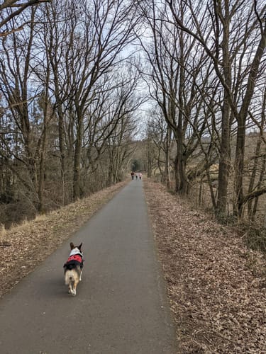 Rund um den Weilerbach