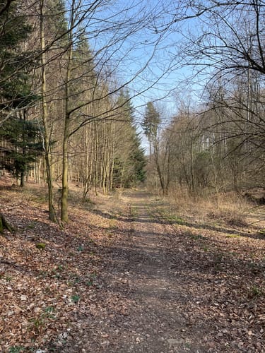 Luhbachweg